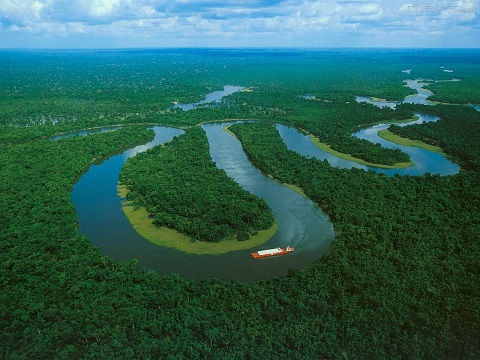 Hotéis e Pousadas em Amazonas
